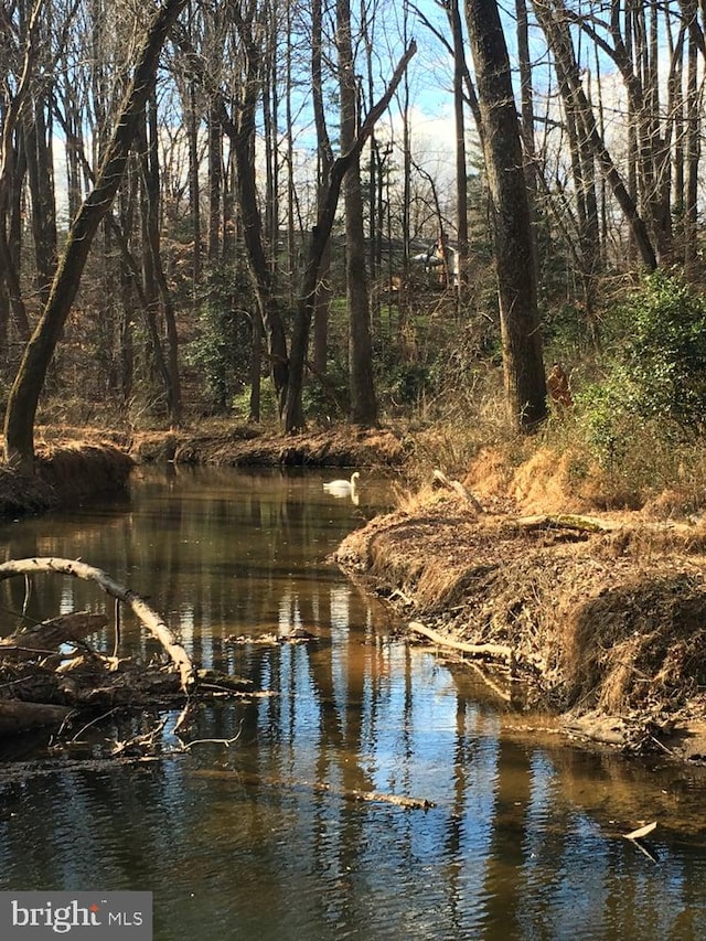 10447 Carriagepark Ct, Fairfax, VA 22032 - water view