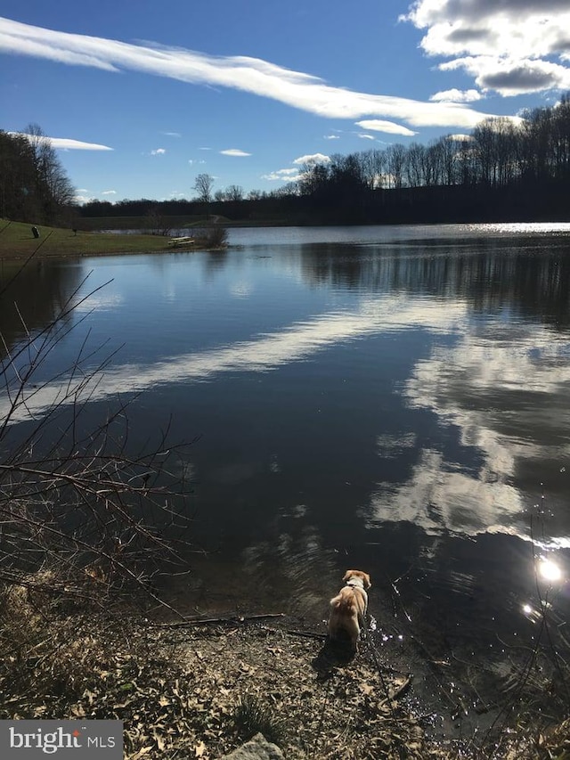 10447 Carriagepark Ct, Fairfax, VA 22032 - water view