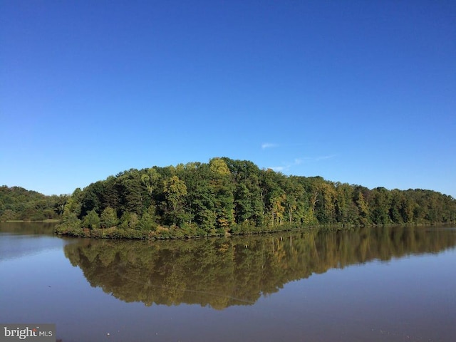 10447 Carriagepark Ct, Fairfax, VA 22032 - water view featuring a forest