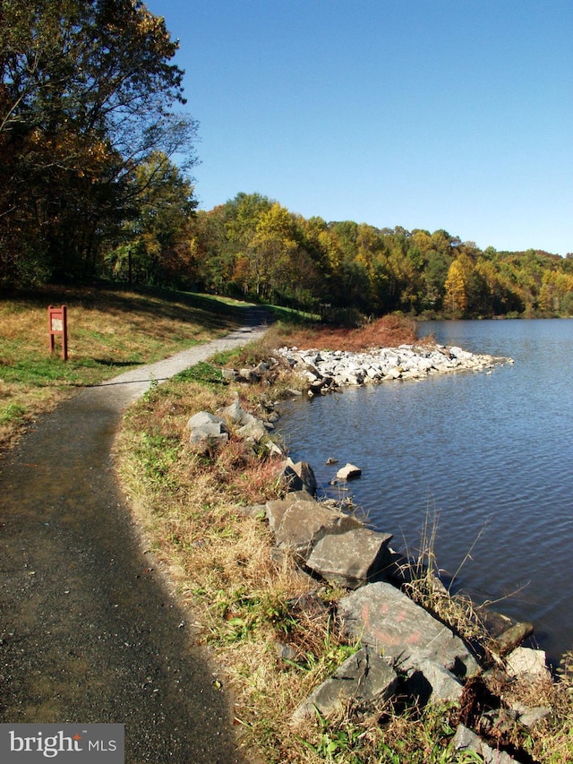 10447 Carriagepark Ct, Fairfax, VA 22032 - water view with a forest
