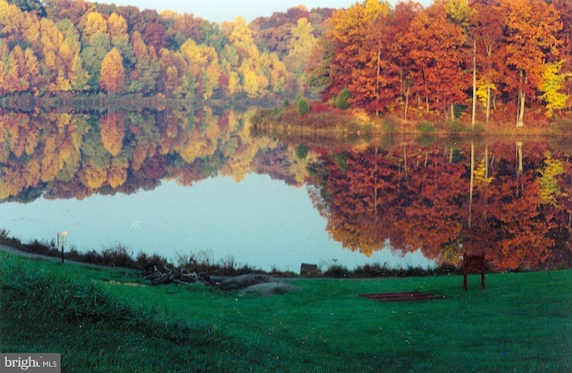 10447 Carriagepark Ct, Fairfax, VA 22032 - water view featuring a forest