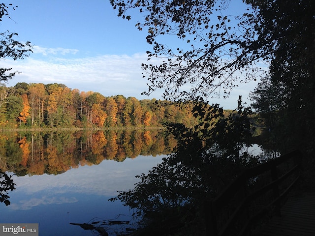 10447 Carriagepark Ct, Fairfax, VA 22032 - water view featuring a forest