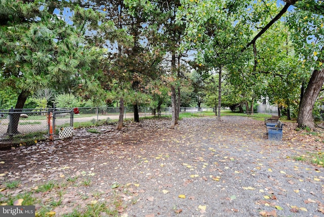 3101 N Hampton Dr Unit 314, Alexandria, VA 22302 - view of yard