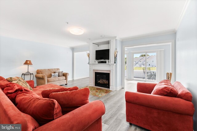 9729 Village Ln Unit 9715C, Ocean City, MD 21842 - living room featuring ornamental molding, a glass covered fireplace, and light wood-type flooring