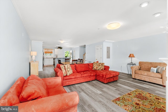 9729 Village Ln Unit 9715C, Ocean City, MD 21842 - living room with crown molding, light wood-style flooring, baseboards, and electric panel