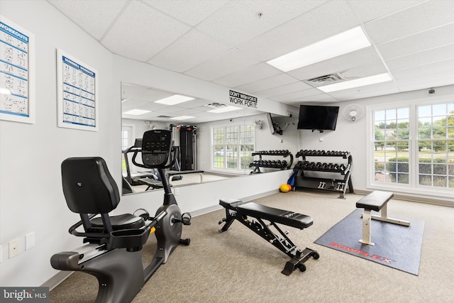 9729 Village Ln Unit 9715C, Ocean City, MD 21842 - workout area featuring a drop ceiling, baseboards, and carpet floors