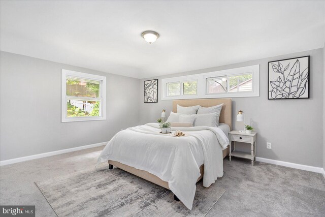 3910 The Alameda, Baltimore, MD 21218 - bedroom with multiple windows, baseboards, and light colored carpet