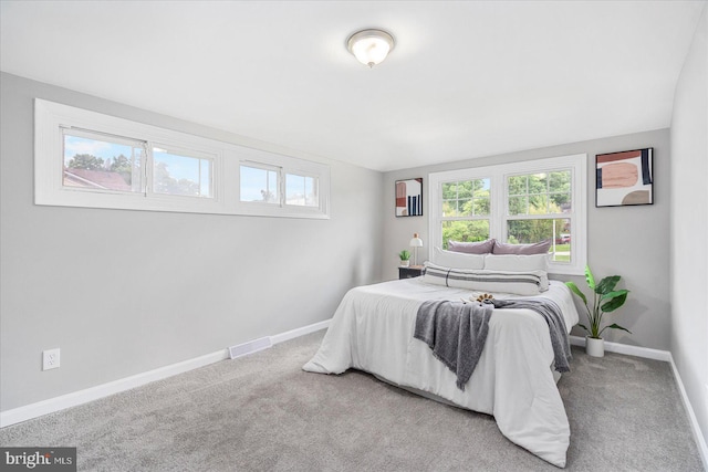 3910 The Alameda, Baltimore, MD 21218 - bedroom with baseboards and carpet flooring