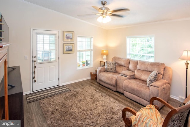 312 Farm Ln, North Wales, PA 19454 - living room with wood finished floors, crown molding, a ceiling fan, baseboards, and vaulted ceiling