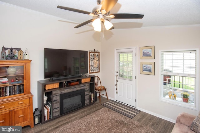 312 Farm Ln, North Wales, PA 19454 - living area with dark wood-style floors, ceiling fan, ornamental molding, baseboards, and a glass covered fireplace
