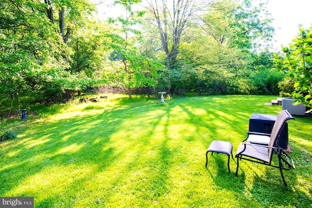 312 Farm Ln, North Wales, PA 19454 - view of green lawn