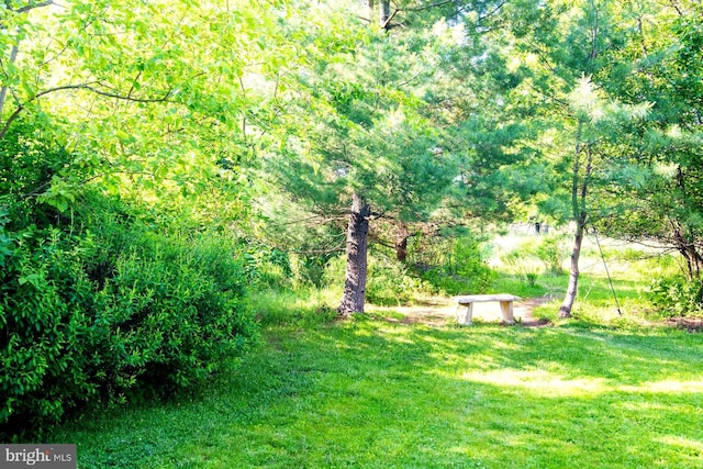 312 Farm Ln, North Wales, PA 19454 - view of green lawn