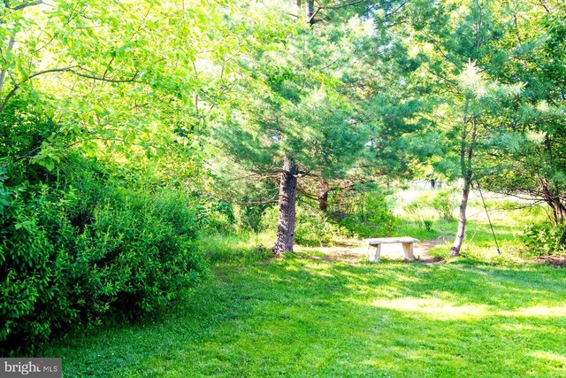 312 Farm Ln, North Wales, PA 19454 - view of green lawn