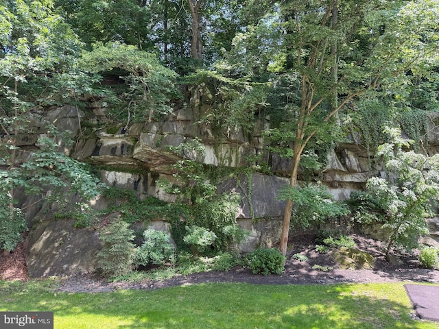 800 Avondale Rd Unit 2C, Wallingford, PA 19086 - view of grassy yard