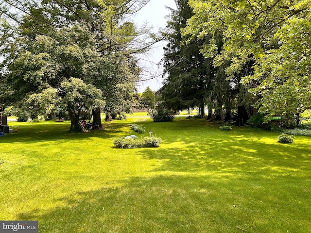 149 W Main St, Millheim, PA 16854 - view of grassy yard