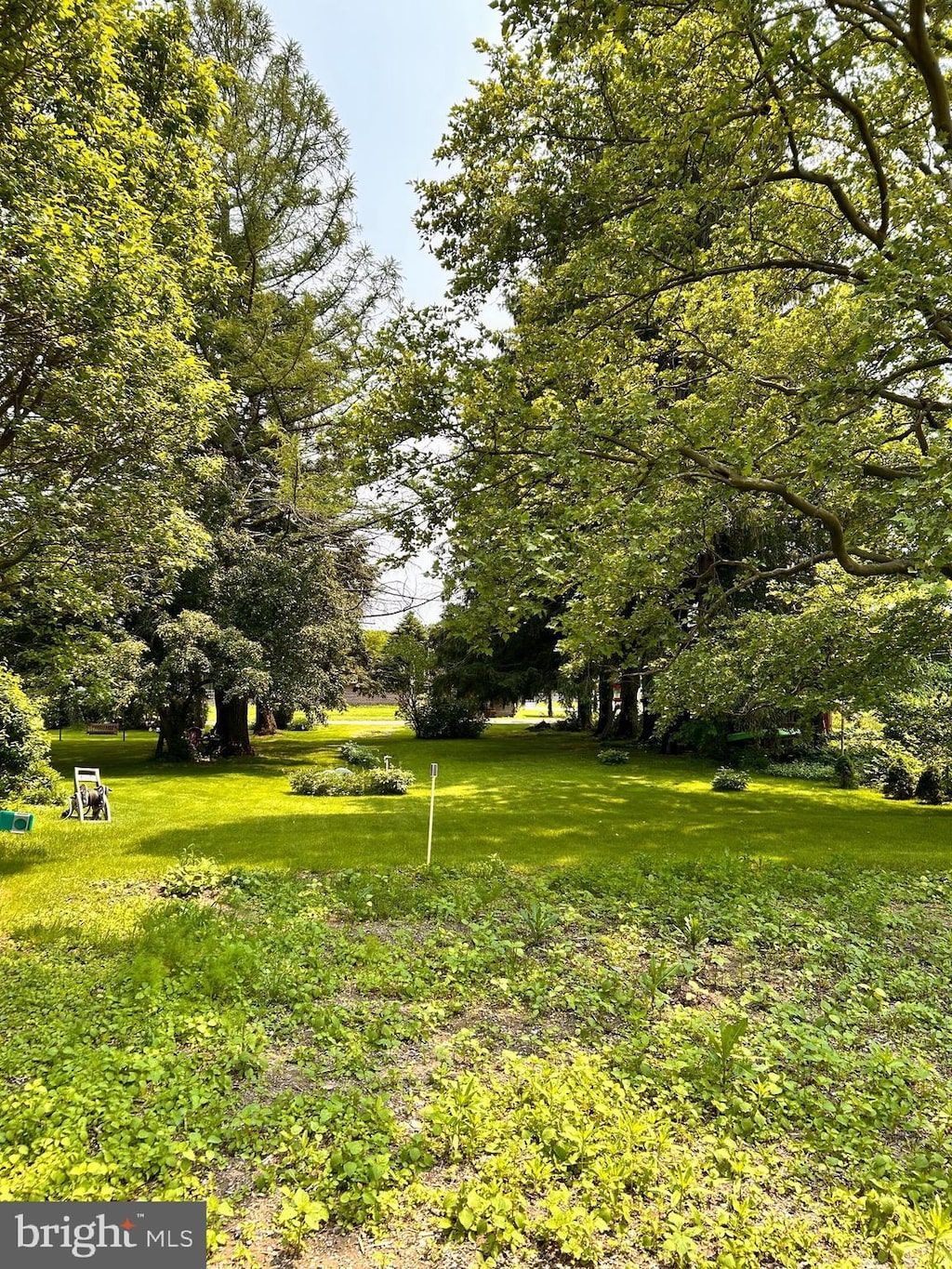 149 W Main St, Millheim, PA 16854 - view of grassy yard