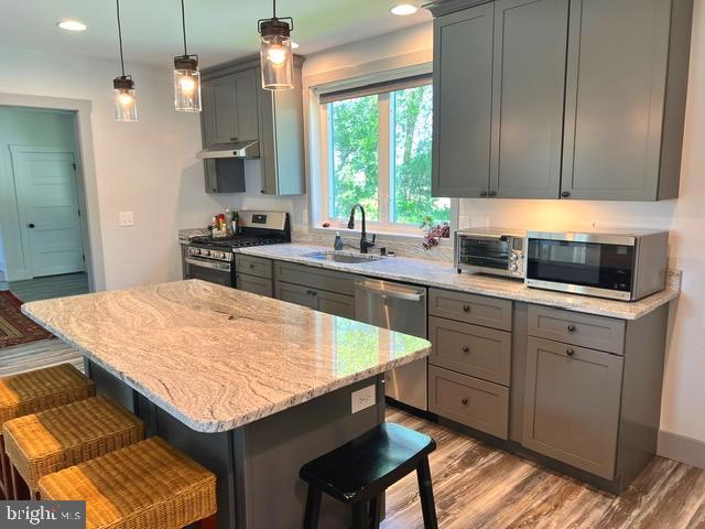 7299 Marshall St, Lincoln, DE 19960 - kitchen featuring appliances with stainless steel finishes, a sink, gray cabinetry, under cabinet range hood, and a breakfast bar