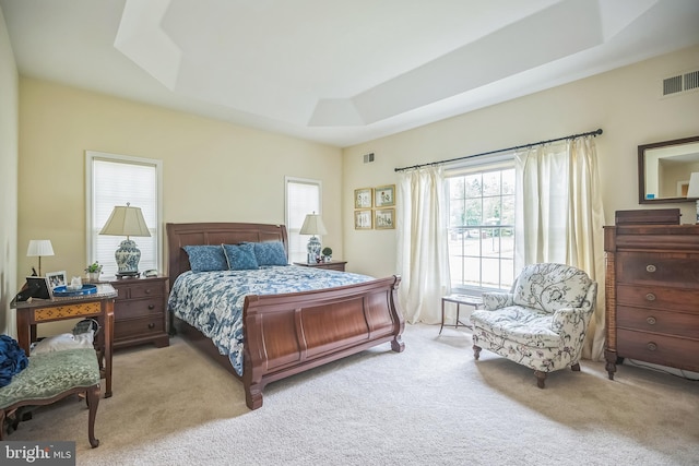1 Hedge Row Rd, Princeton, NJ 08540 - carpeted bedroom with a tray ceiling