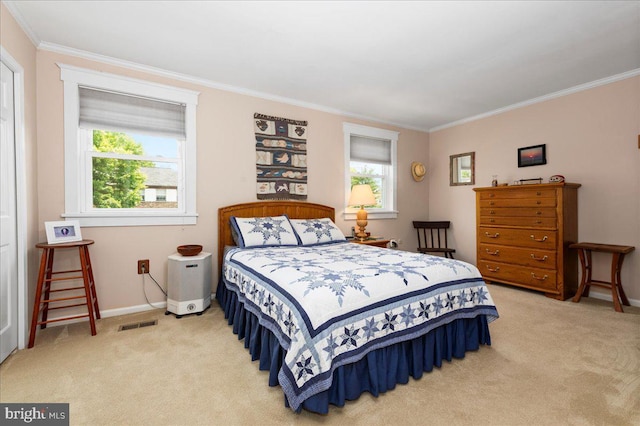 14 Providence Ave, Doylestown, PA 18901 - bedroom with light carpet, ornamental molding, and baseboards