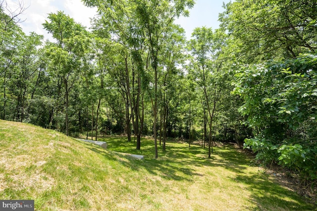 2968 Sulphur Springs Rd, Inwood, WV 25428 - view of grassy yard