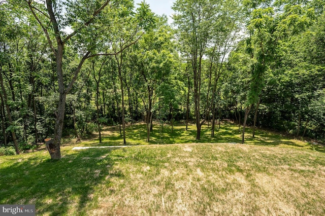 2968 Sulphur Springs Rd, Inwood, WV 25428 - view of grassy yard with a wooded view