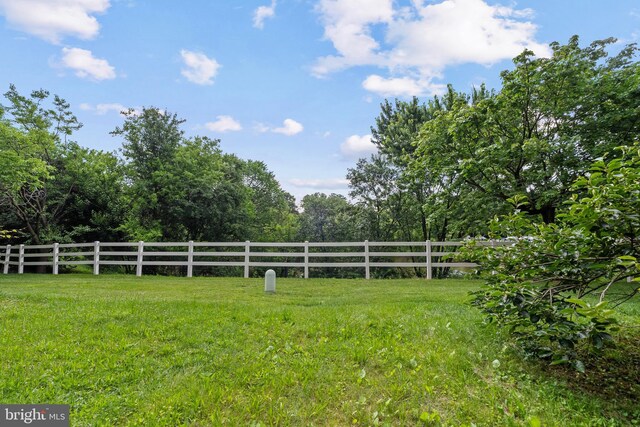 12307 Sandy Point Ct, Silver Spring, MD 20904 - view of yard