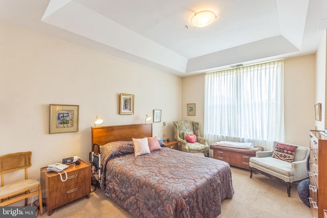 2118 Windrow Dr, Princeton, NJ 08540 - bedroom featuring a tray ceiling and light carpet