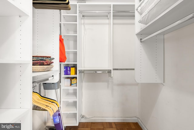 4100 W St NW Unit 314, Washington, DC 20007 - view of spacious closet
