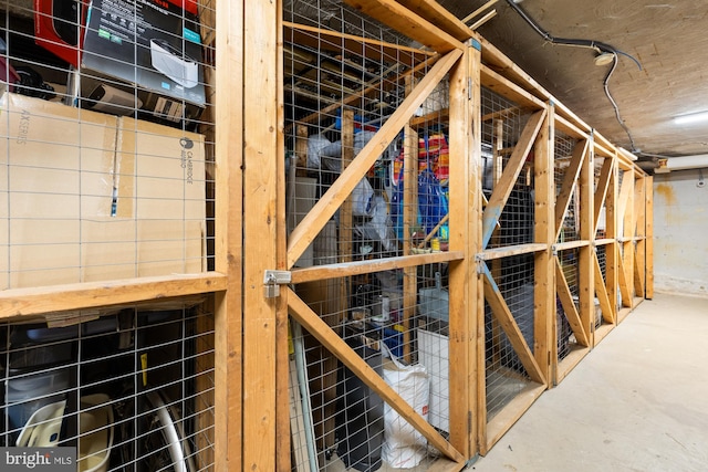 4100 W St NW Unit 314, Washington, DC 20007 - view of storage room