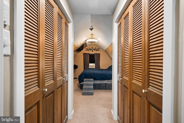 19 W Ave, Woodstown, NJ 08098 - corridor with carpet and lofted ceiling