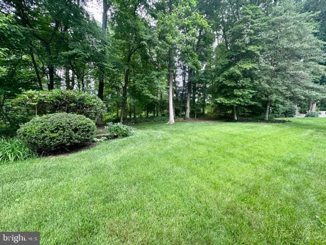 304 Blackburn Ct, Joppa, MD 21085 - view of green lawn