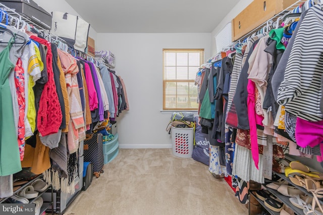 7 Schooner, Carneys Point, NJ 08069 - walk in closet with carpet floors