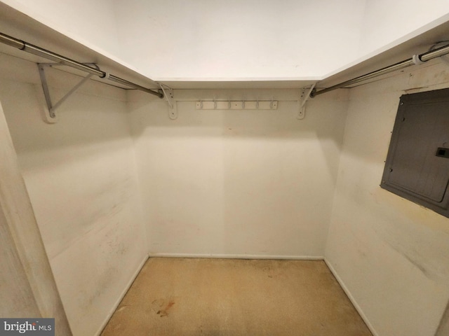 5100 Convent Ln Unit 412, Philadelphia, PA 19114 - spacious closet featuring electric panel and light colored carpet