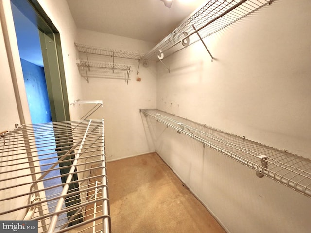5100 Convent Ln Unit 412, Philadelphia, PA 19114 - spacious closet featuring carpet floors