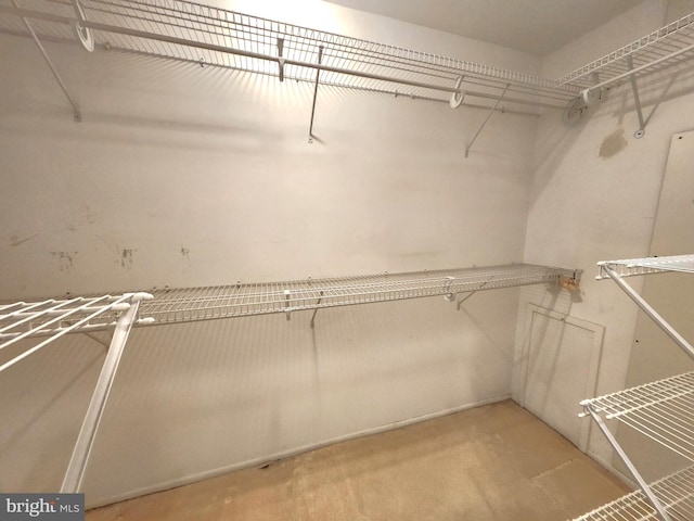 5100 Convent Ln Unit 412, Philadelphia, PA 19114 - view of spacious closet