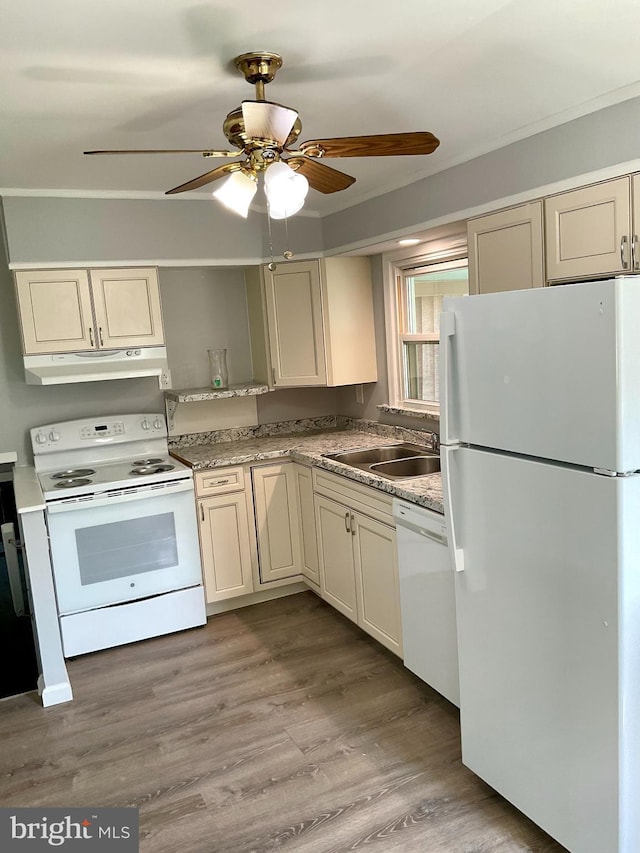 647 Elm St, Aberdeen, MD 21001 - kitchen with white appliances, under cabinet range hood, ceiling fan, wood finished floors, and cream cabinets