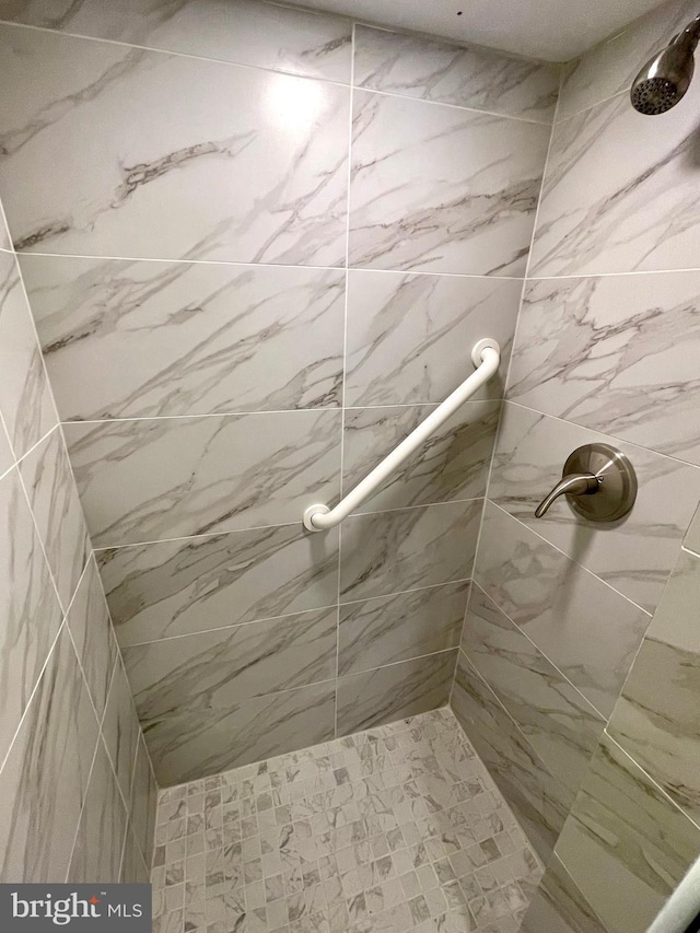 647 Elm St, Aberdeen, MD 21001 - bathroom with tiled shower