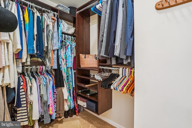 7484 Gadsby Sq, Alexandria, VA 22315 - walk in closet featuring carpet floors