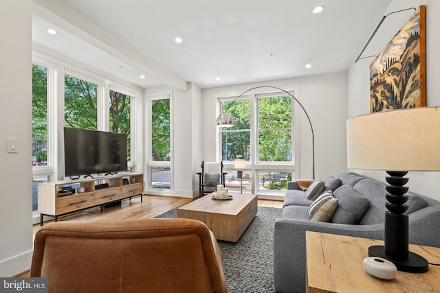 1401 S Carolina Ave SE Unit 1, Washington, DC 20003 - living room with plenty of natural light, wood finished floors, and recessed lighting