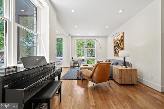 1401 S Carolina Ave SE Unit 1, Washington, DC 20003 - living area featuring light wood-style floors and recessed lighting