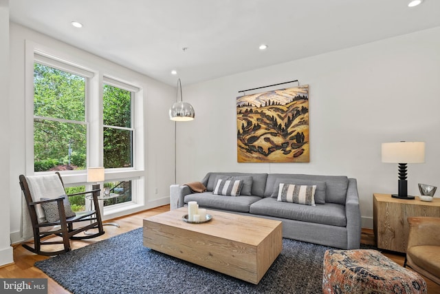 1401 S Carolina Ave SE Unit 1, Washington, DC 20003 - living area with wood finished floors and recessed lighting