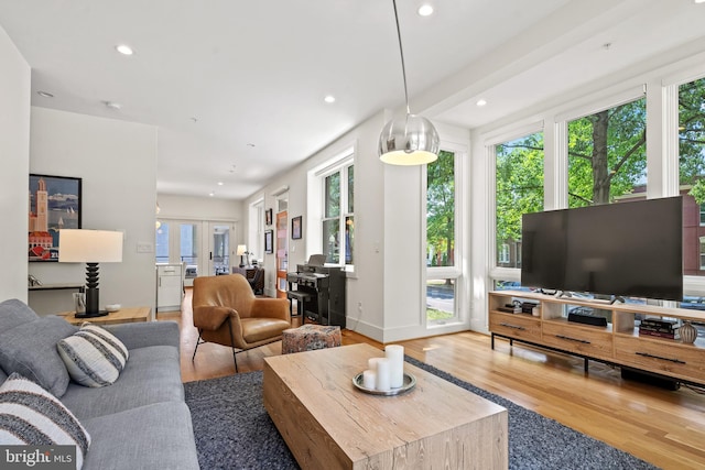 1401 S Carolina Ave SE Unit 1, Washington, DC 20003 - living room with wood finished floors, plenty of natural light, recessed lighting, an office area, and french doors