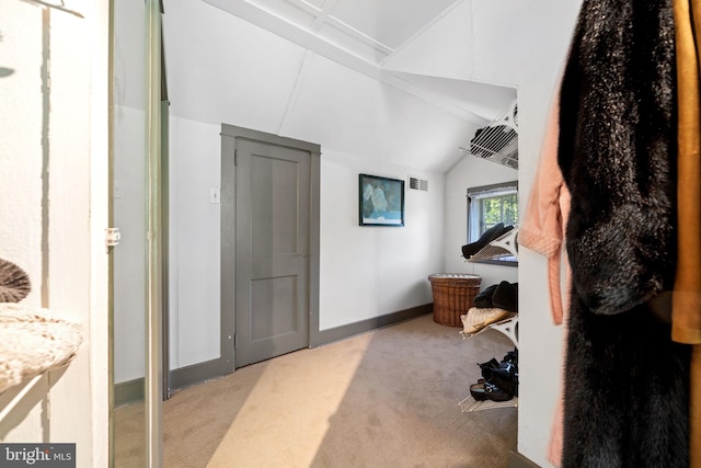 1033 Lenape Rd, West Chester, PA 19382 - bathroom featuring vaulted ceiling