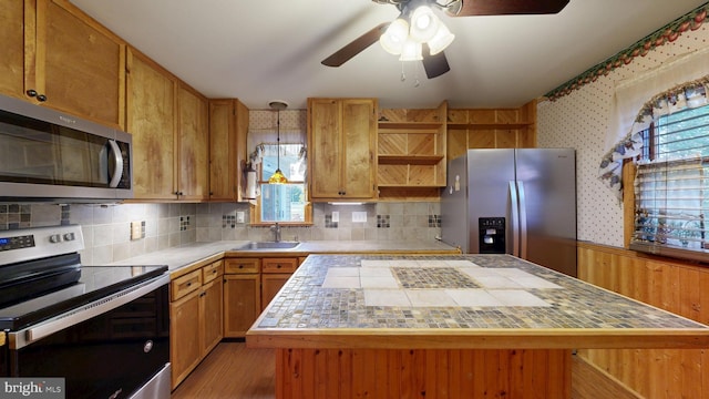 6085 Mud Mill Rd, Camden Wyoming, DE 19934 - kitchen featuring stainless steel appliances, a sink, ceiling fan, and plenty of natural light