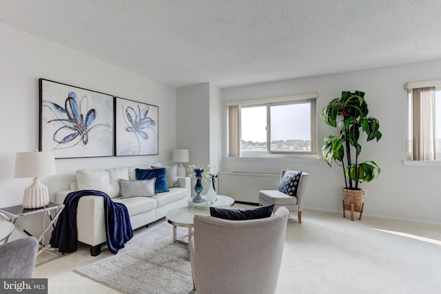 1225 Martha Custis Dr Unit 904, Alexandria, VA 22302 - carpeted living area featuring a textured ceiling and baseboards