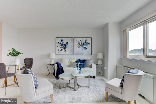 1225 Martha Custis Dr Unit 904, Alexandria, VA 22302 - view of living room