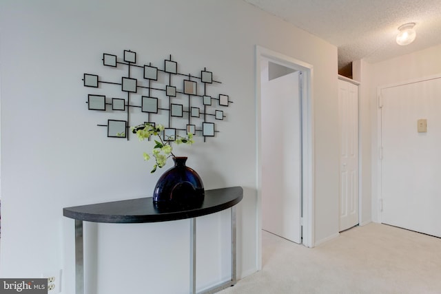 1225 Martha Custis Dr Unit 904, Alexandria, VA 22302 - hall with light colored carpet and a textured ceiling