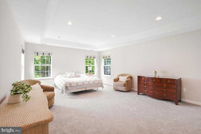 18525 Rushbrooke Dr, Olney, MD 20832 - carpeted bedroom with multiple windows, a raised ceiling, recessed lighting, and baseboards