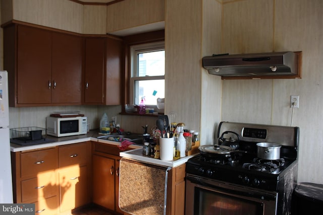 24 S 7th St, Shamokin, PA 17872 - kitchen with range with gas cooktop, range hood, white microwave, light countertops, and a sink