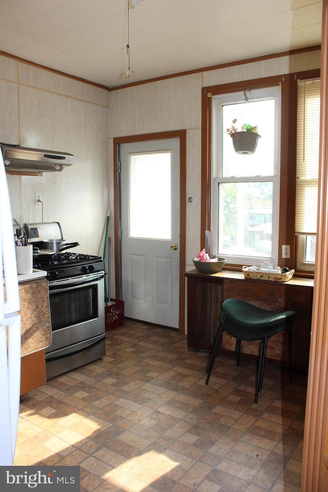24 S 7th St, Shamokin, PA 17872 - kitchen featuring gas stove, range hood, brick patterned flooring, plenty of natural light, and crown molding